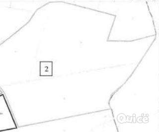 Terreno in vendita a Gazzo (Padova) foto-603093