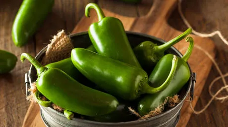 Three Outbreaks, One Supplier: The Produce Concentration Risk Nobody Wanted to Admit