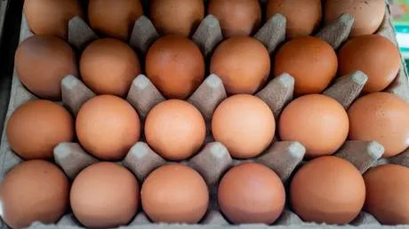 Salmonella Outbreak Ties to Ukrainian Eggs: UK’s Tariff Exemption Is a Supply Chain Time Bomb