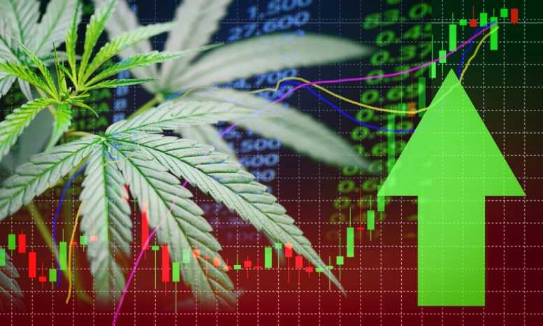 15e9b4286a506ab1495d6c6573c4be43 New Poll Shows Strong Majority of Texans, Including Republicans, Support Keeping Consumable THC Legal with Regulations