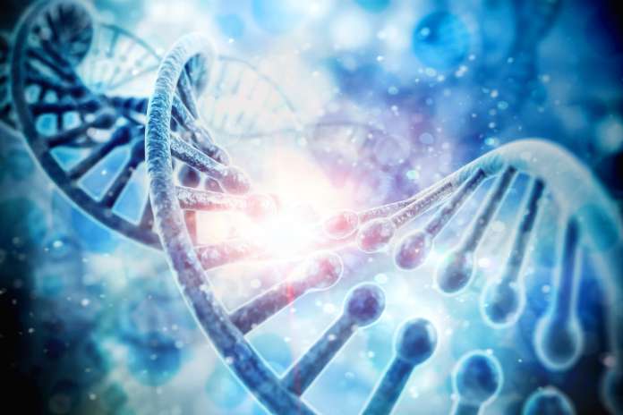 ae2446a08a66f5929d2f759742c7d006 Everest Biolabs Launches Groundbreaking EV Research Tools at ISEV2025 in Vienna