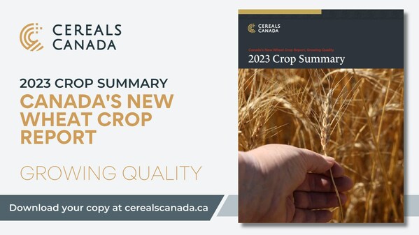 在cerealscanada.ca查看2023年新小麦产量报告并下载产量摘要