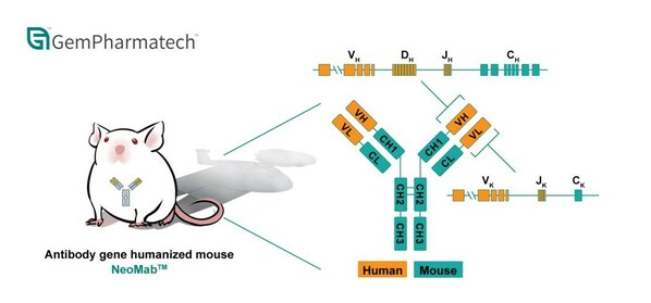 GemPharmatech推出创新抗体基因人源化小鼠模型NeoMabTM