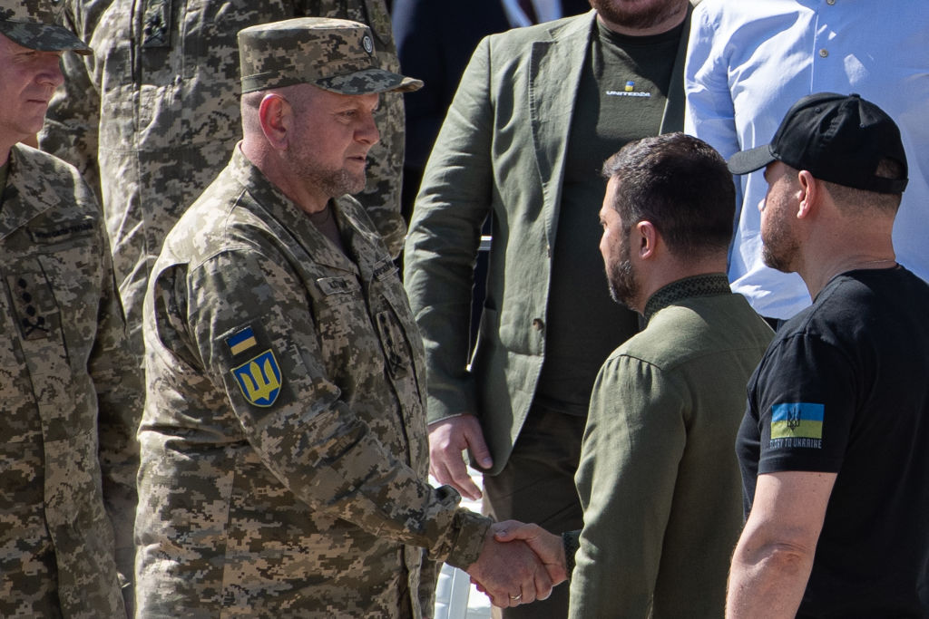 Zelensky Zaluzhny handshake