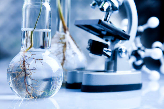 6aaf1cc95732f6cba6663429561d52df Pierre Fabre Laboratories and RedRidge Bio Announce a Drug Discovery and Co-development Partnership