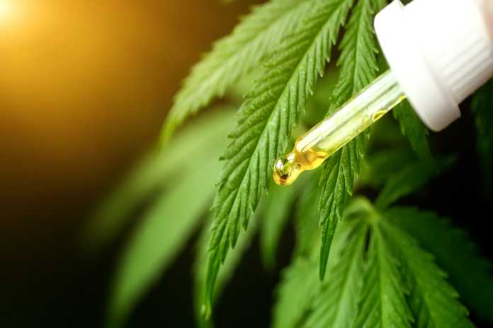 b66a03942af374f05f79b41898ec3332 Ounce of Hope's THC Seltzers Are Officially Complete--What's Next?