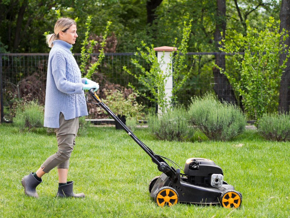 home lawn care services home lawn care services