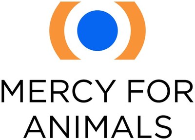 โลโก้เมอร์ซี้ ฟอร์ แอนิมัลส์ (ที่มา: PRNewsfoto/Mercy For Animals)