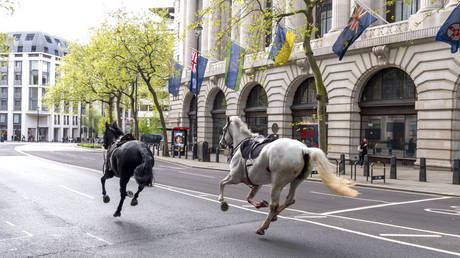 กองทัพอังกฤษเปิดเผยสภาพของม้าที่ได้รับบาดเจ็บหลังเกิดเหตุวุ่นวายในลอนดอน