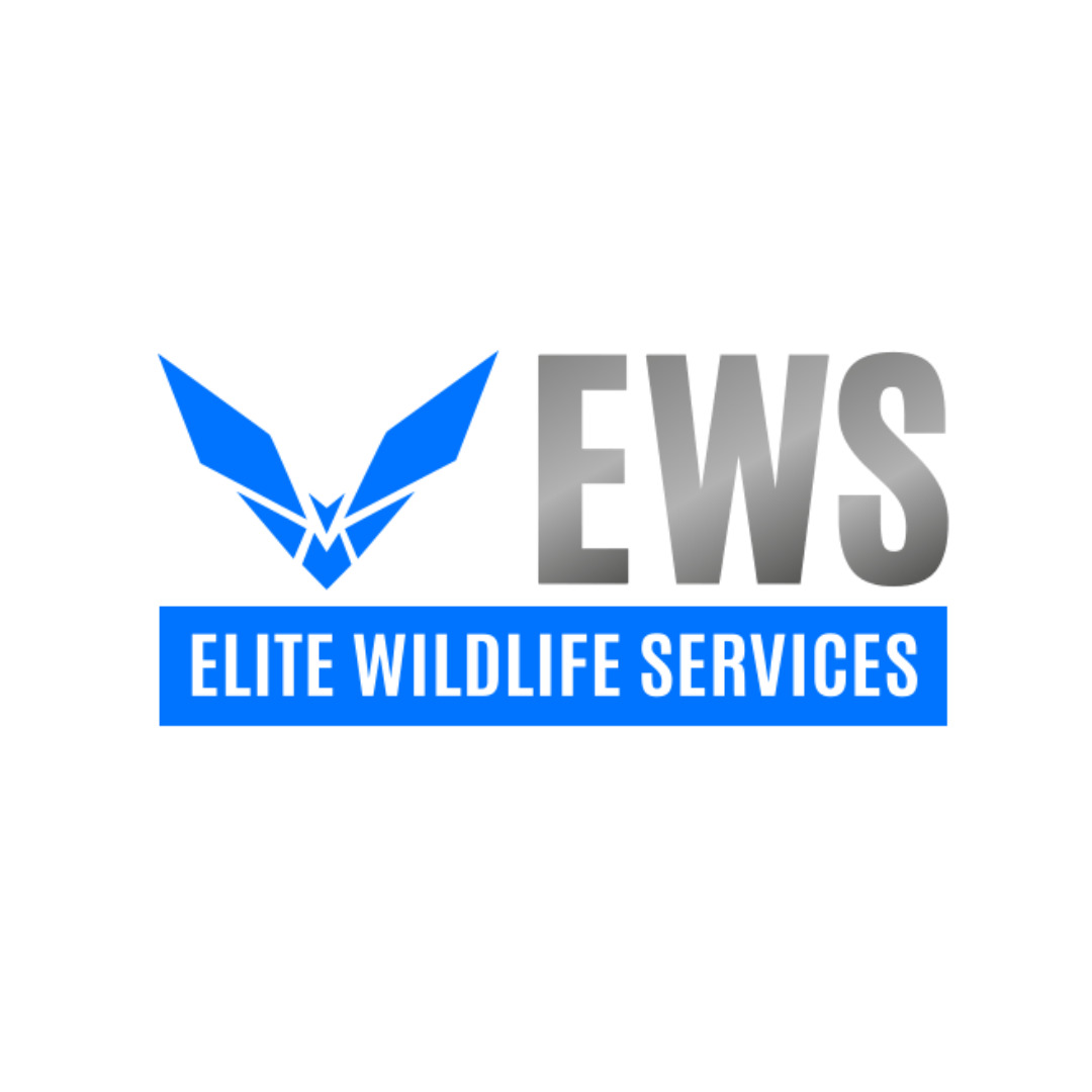 Elite Wildlife Services นำทางด้านโซลูชั่นกำจัดค้างคาวที่ได้ผลจริง