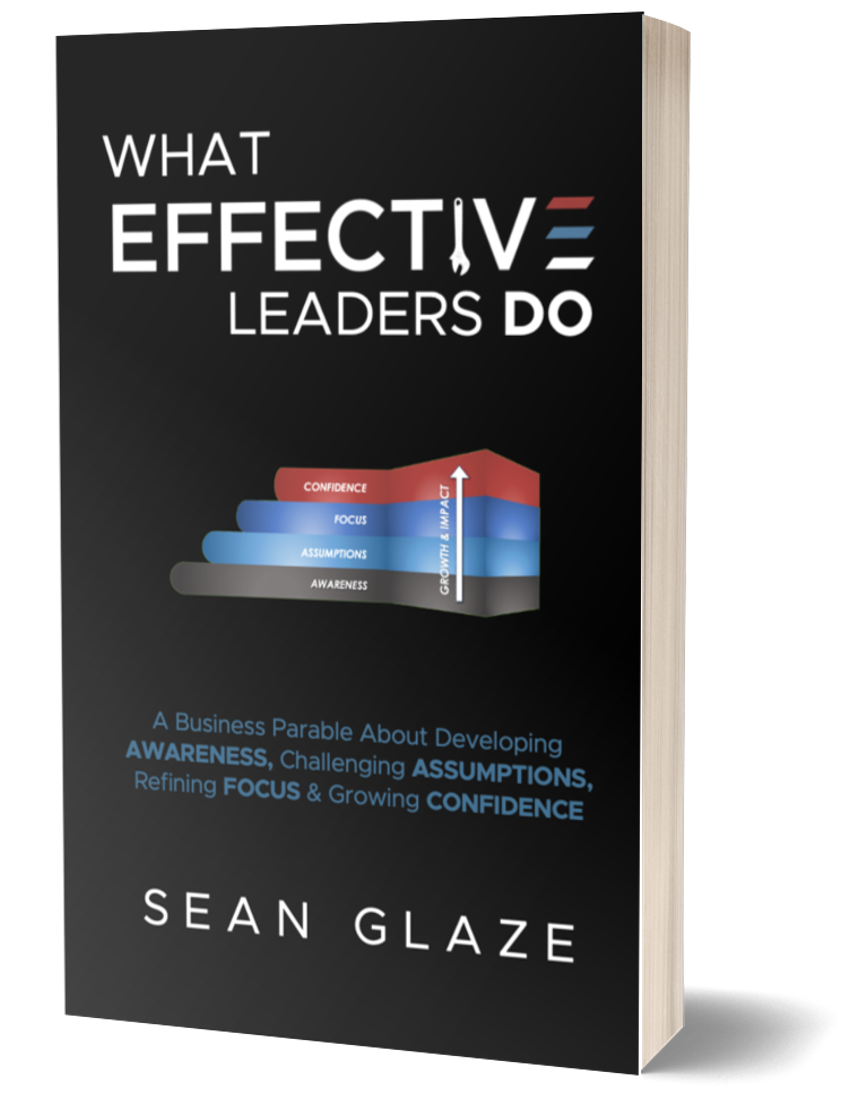 EFFECTIVE LEADERS BOOK COVER EFFECTIVE LEADERS BOOK COVER