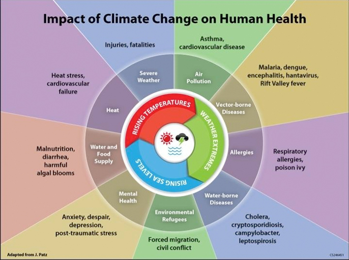 Co2Bit to Revolutionize Voluntary Carbon Credit Offsets Using Artificial Intelligence (AI)