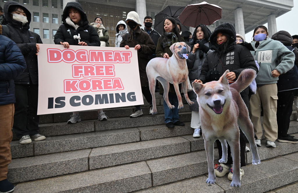 SKOREA-ANIMAL-DOG-RIGHTS