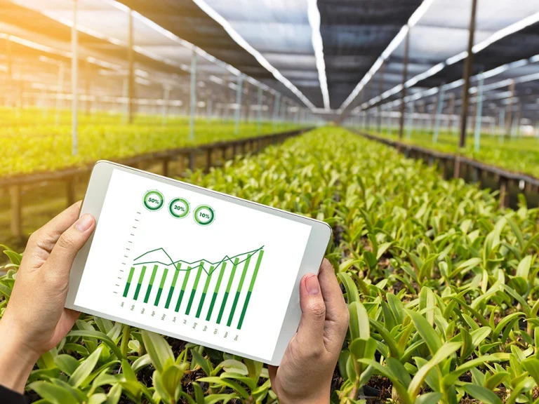 Expert Agriculture Software Developer Expert Agriculture Software Developer