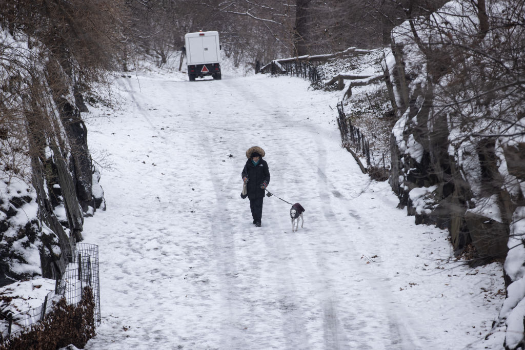 紐約市降下兩年來最大的積雪