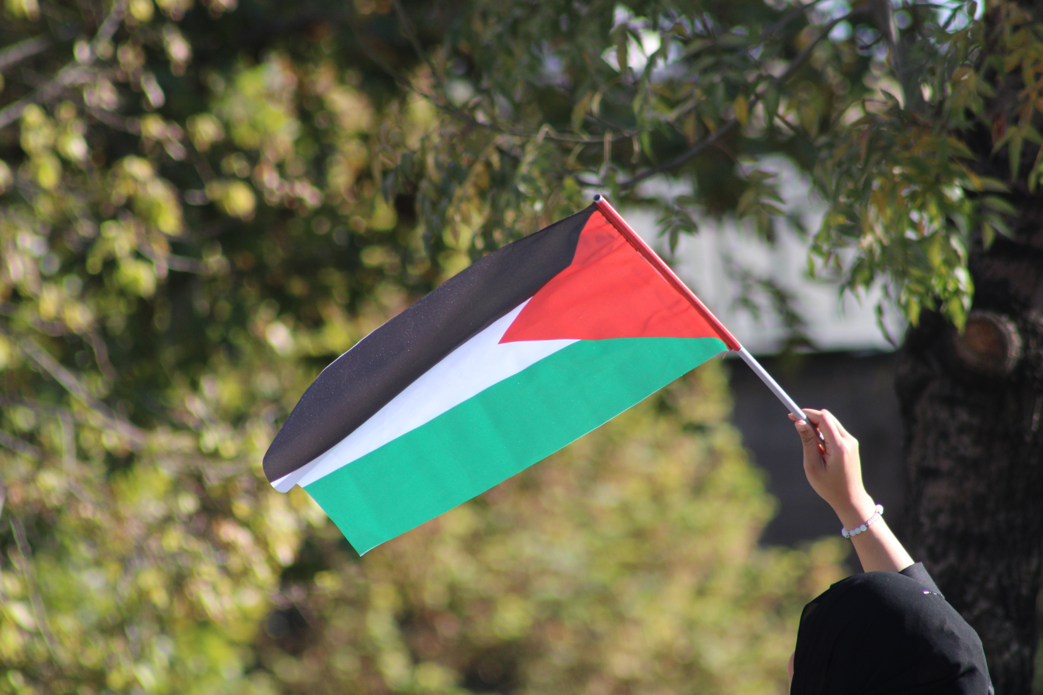 一位穆斯林女性揮舞著巴勒斯坦國旗