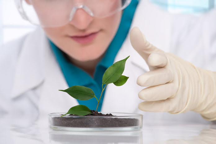0fb04ec55214073ce16b67537d44c1b6 Onward Therapeutics Announces IMPD Approval for Its Subsidiary Emercell to Start Clinical Investigation of Allogeneic NK Cell Therapy OT-C001 in Combination with Rituximab