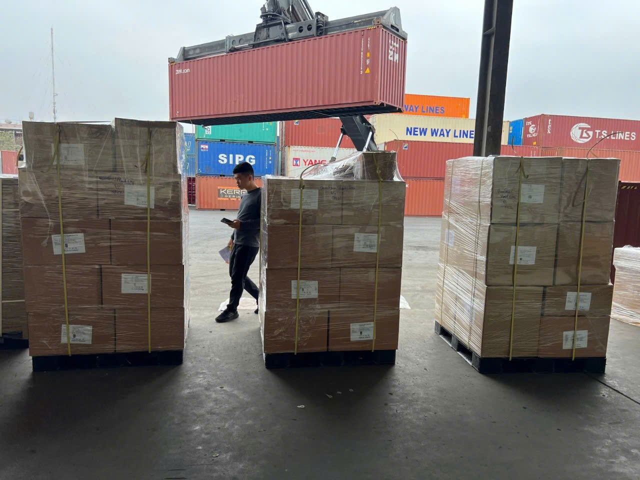Bamboo Products Export Bamboo Products Export