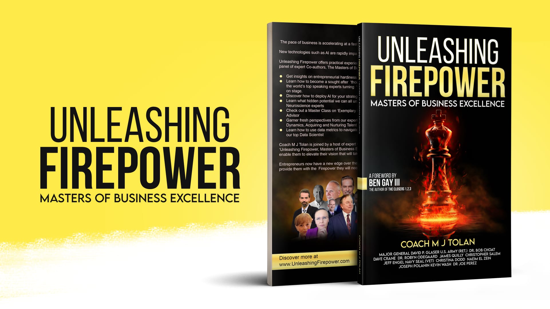 Book Cover for Unleashing Firepower Masters of Business Excellence