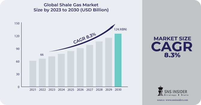 Shale Gas Market Size  Share
