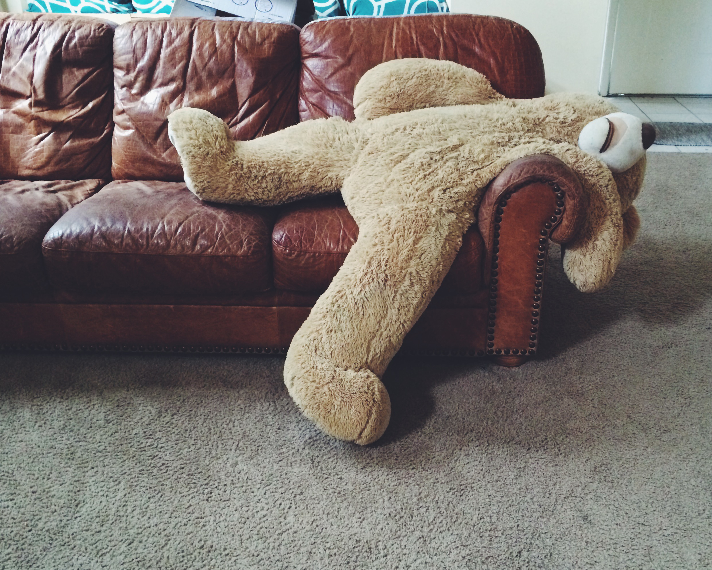 Chú gấu bông nằm trên ghế sofa
