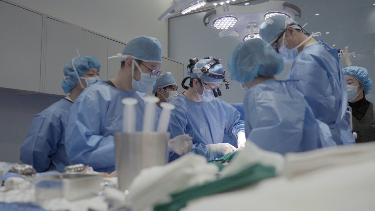 Trung tâm Y tế Thú y NEL Hàn Quốc: Thành công liên tiếp 5 ca phẫu thuật van tim cho chó
