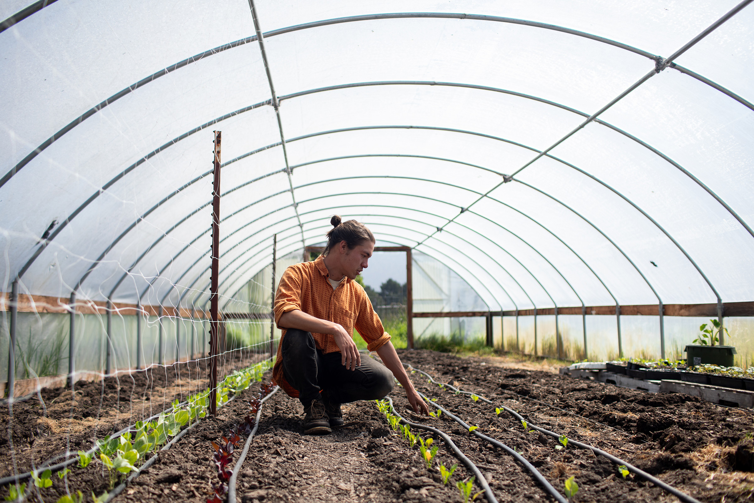 Eliza Milio tại Front Porch Farm ở Healdsburg, Calif., vào ngày 25 tháng 4 năm 2020.