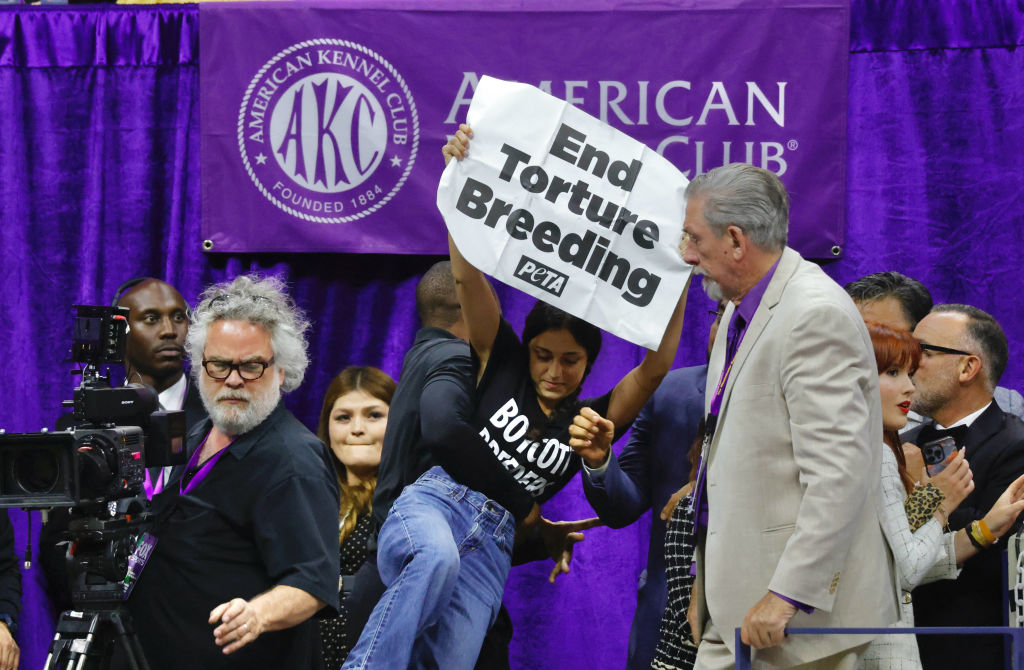 148th Annual Westminster Kennel Club Dog Show - Best In Show