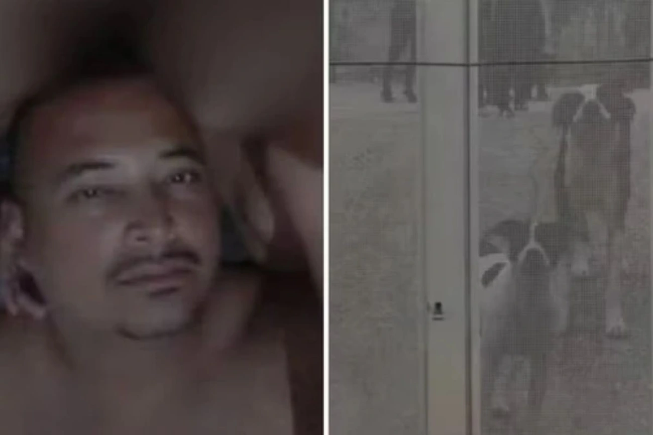 Ambulante morre após ser atacado por 10 cães dentro de chácara