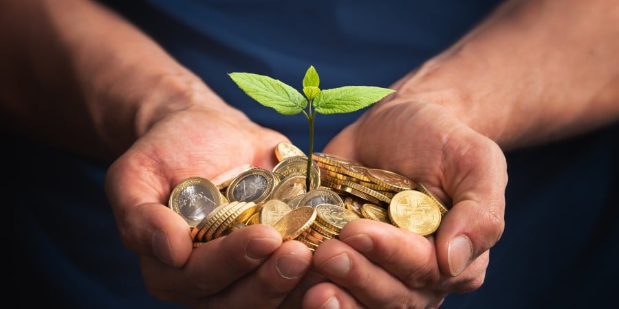 The impact of climate change on sustainable investment strategies in the US