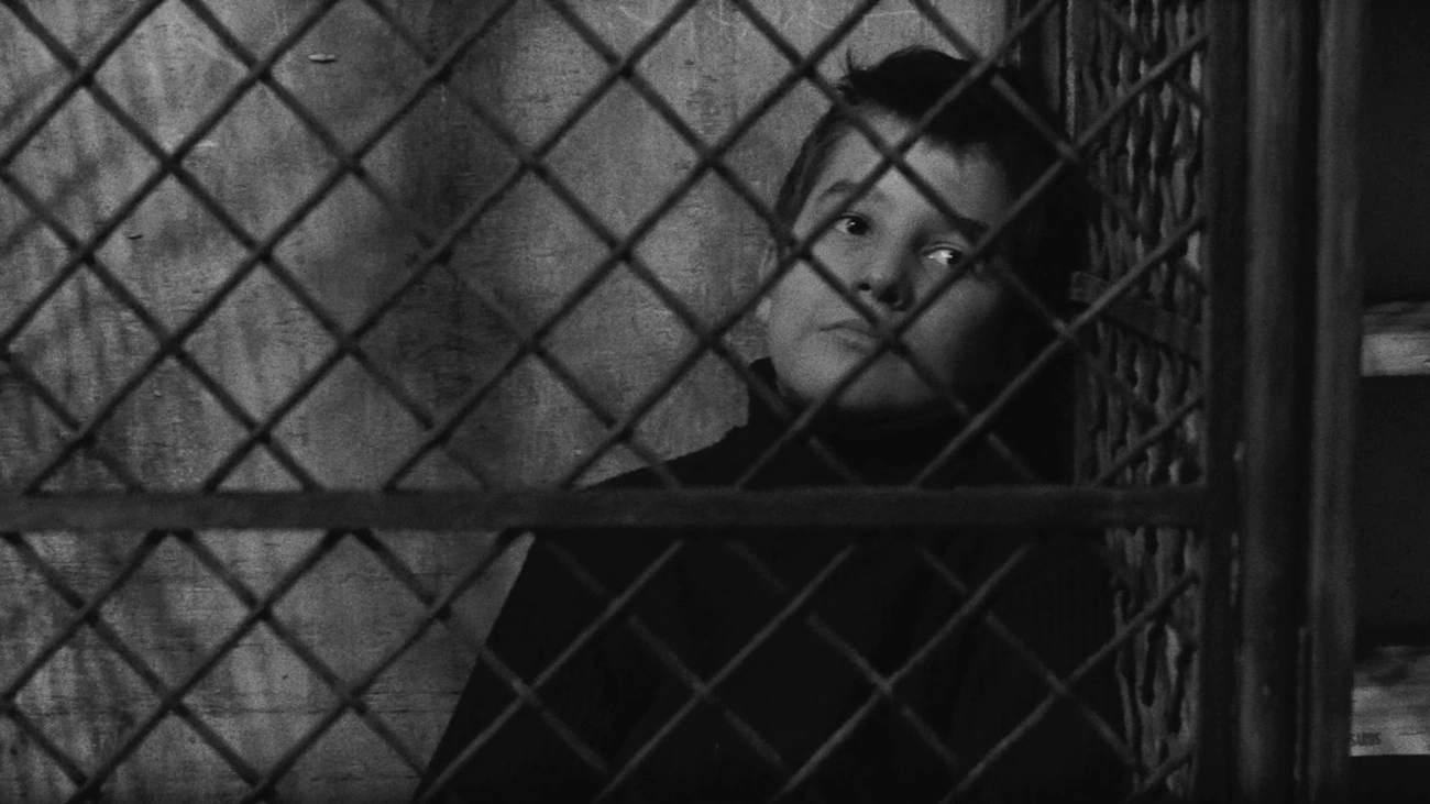 CineSesc apresenta a Mostra Truffaut Por Completo, com 21 longas do cineasta francês