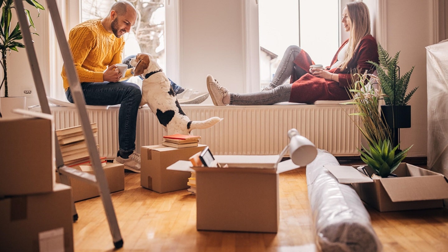 The race for the first property: Strategies for young Americans to achieve homeownership