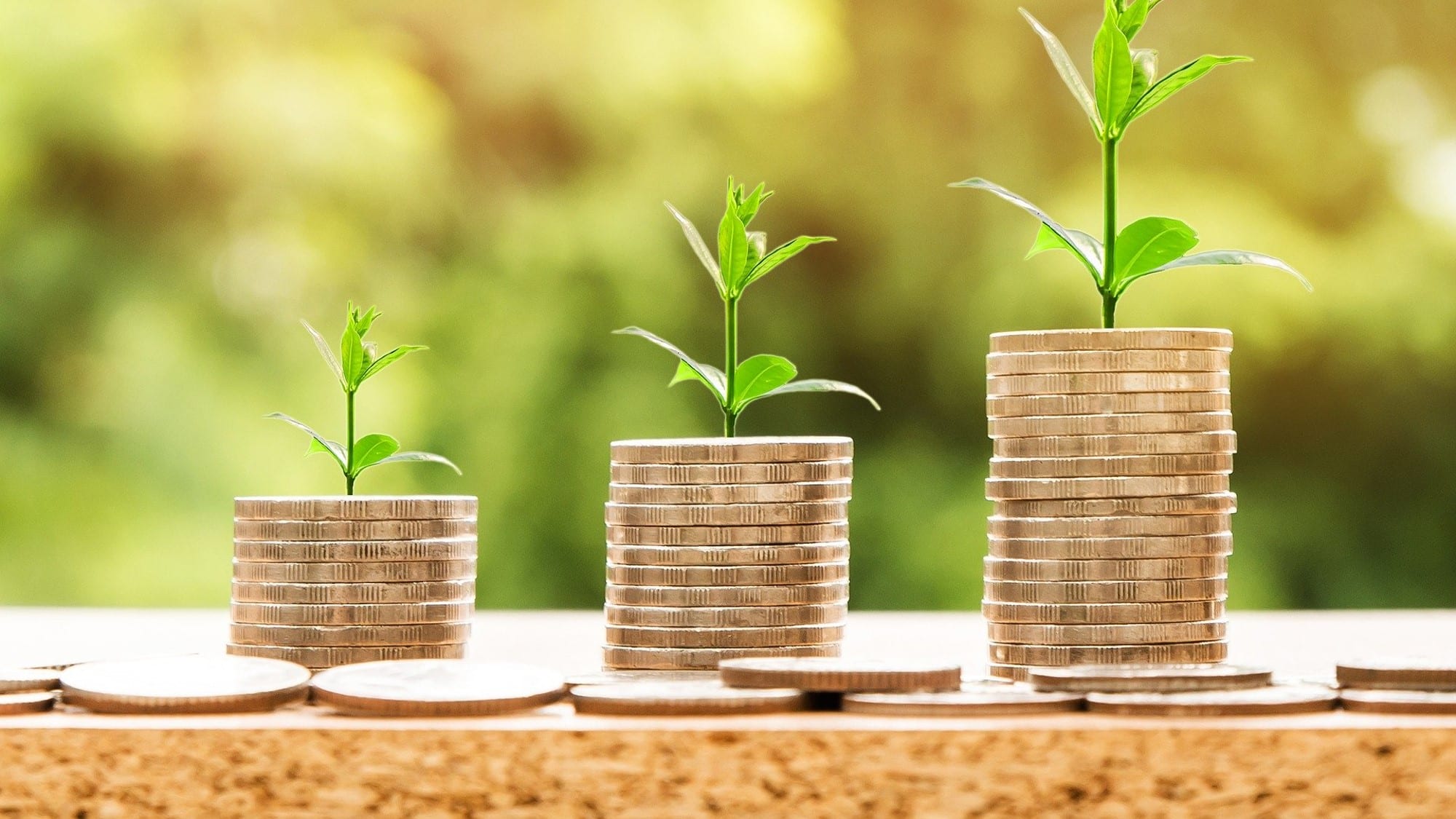 Sustainable finance: How to invest in green and sustainable businesses in the USA!