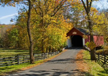Shutterstock 20131333