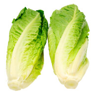 Romaine Lettuce Hearts 6 Count