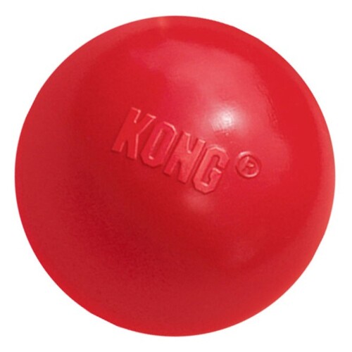 Kong ball shop petsmart