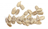 Sunflower Seeds Raw Hulled ~100 g