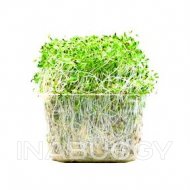 Sprouts Alfalfa 150G