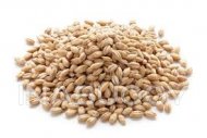Quick Kook Pearl Barley 450G