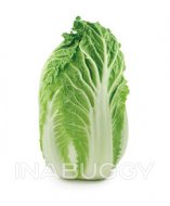 Napa Cabbage 1EA