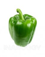 Green Bell Pepper 1EA