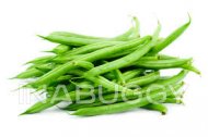Green Beans ~ 1LB