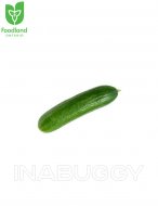 Cucumber 1EA
