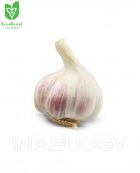 Fresh Garlic 1EA