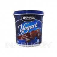 Chapman's Frozen Yogurt Dutch Chocolate 2L