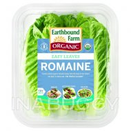 Earthbound Farm Organic Romaine Leaves ~ 198g