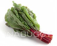 Red Chard of Canada Organic 