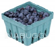 Blueberries 170G
