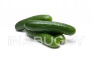 Cucumber Mini ~1LB