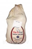 Duck Farm Fed Young Utility ~5.3LBS 